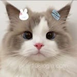 Avatar de Araceli Román